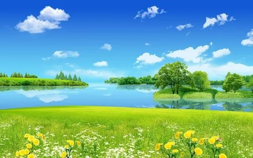 创意节能全自动